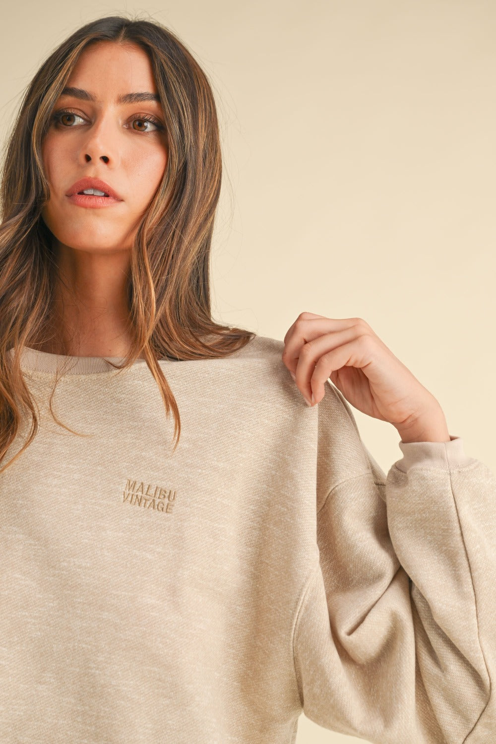 Embroidery Croped Sweatshirt