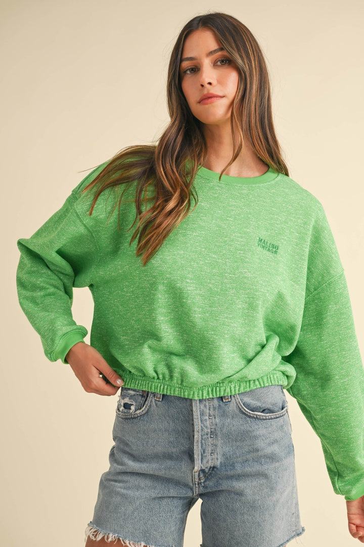 Embroidery Crop Sweatshirt