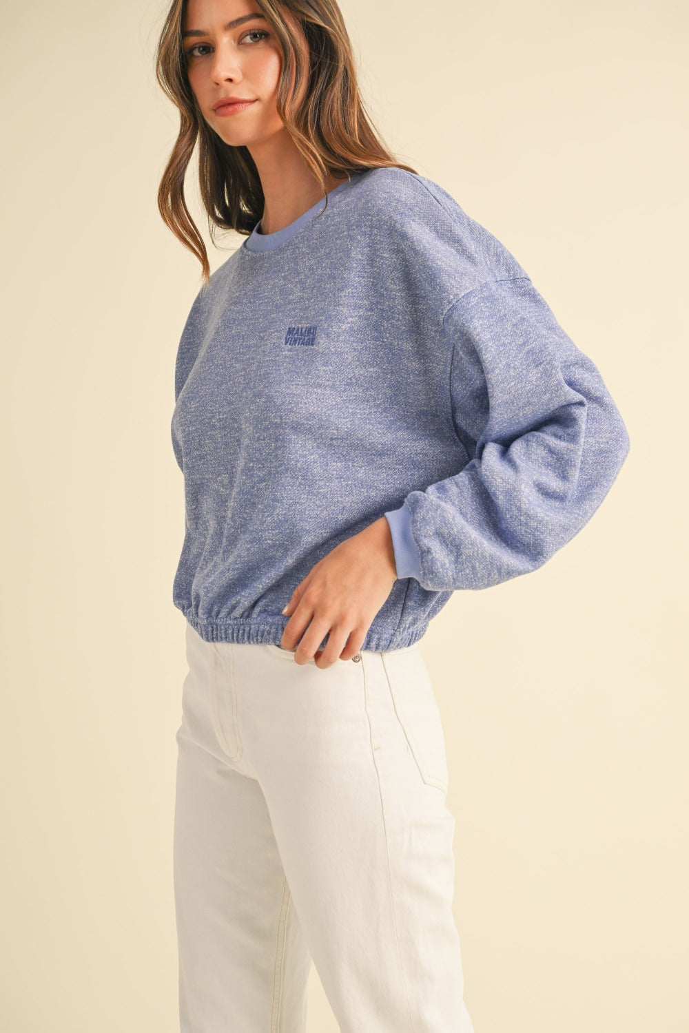 Embroidered Cropped Sweatshirt